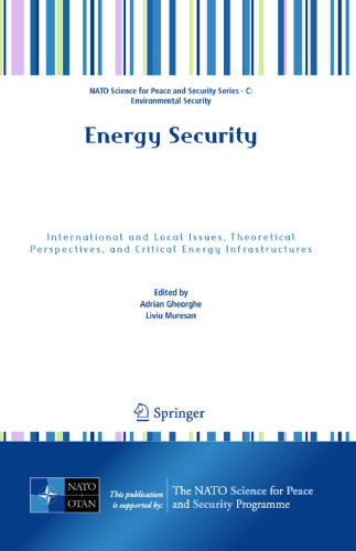 Energy Security: International and Local Issues, Theoretical Perspectives, and Critical Energy Infrastructures