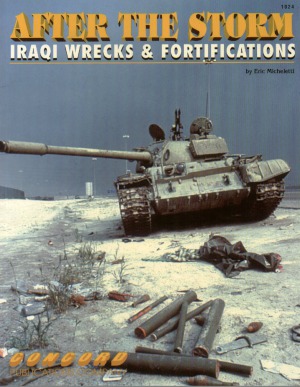 After The Storm. Iraqi Wrecks And Fortifications