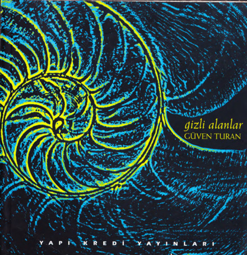 Gizli Alanlar