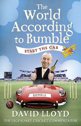 The world according to Bumble: start the car