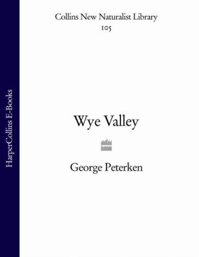 Wye Valley