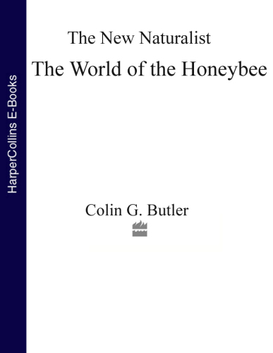 The World Of The Honeybee