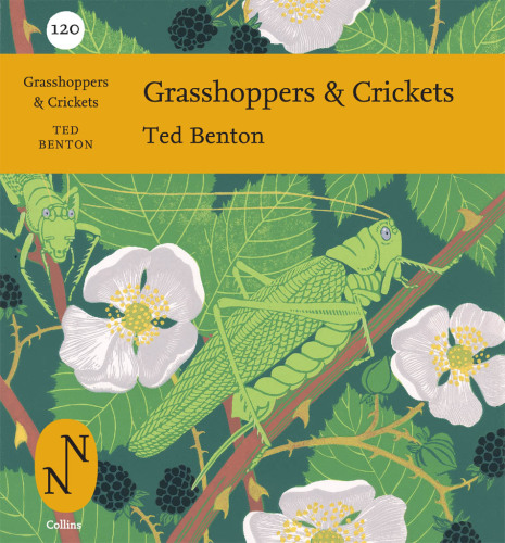 Grasshoppers & crickets