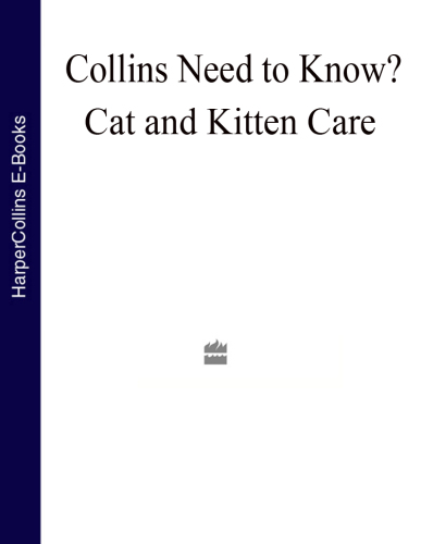 Cat and Kitten Care