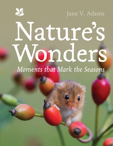 Nature’s Wonders: Moments that mark the seasons (National Trust)