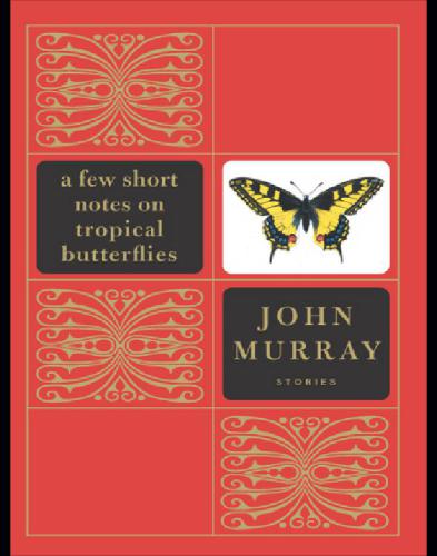 A few short notes on tropical butterflies