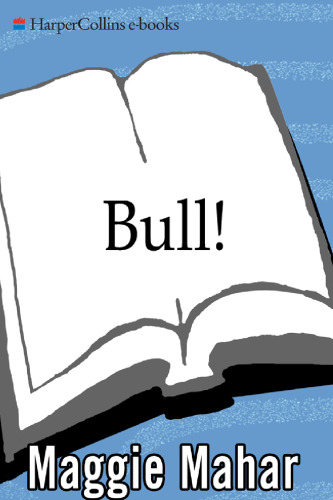 Bull: A History of the Boom and Bust, 1982-2004