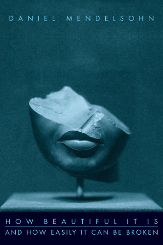How Beautiful It Is And How Easily It Can Be Broken: Essays