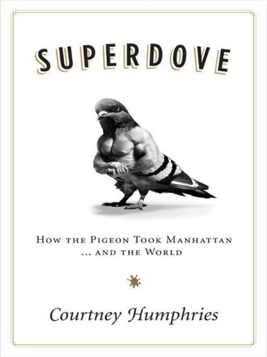Superdove: how the pigeon took Manhattan-- and the world