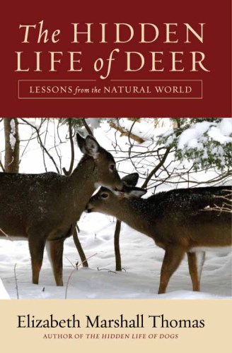 The Hidden Life of Deer: Lessons from the Natural World