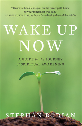 Wake up Now: a Guide to the Journey of Spiritual Awakening