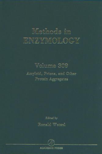Amyloid, Prions, and Other Protein Aggregates