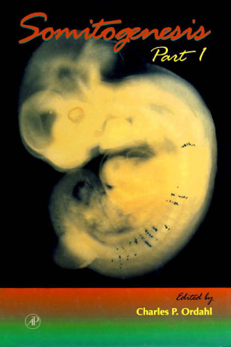 Somitogenesis Part 1