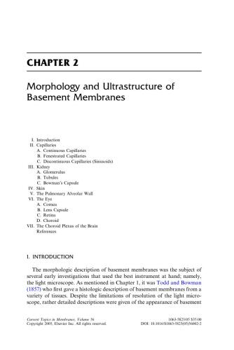 Basement Membranes: Cell and Molecular Biology