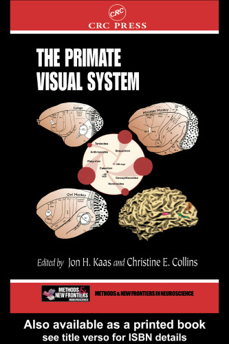 The Primate Visual System