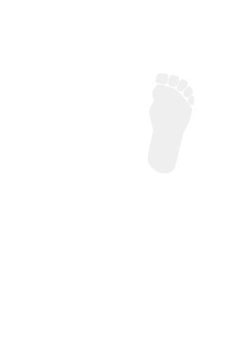 Bigfoot: The Life and Times of a Legend