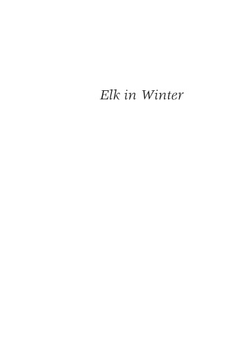 Elk in Winter