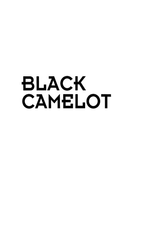 Black Camelot: African-American Culture Heroes in Their Times, 1960-1980