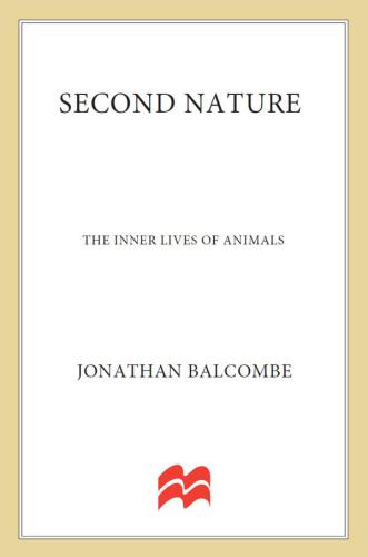 Second Nature: The Inner Lives of Animals (MacSci)