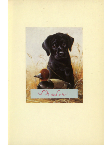 The lyric and dramatic Milton: selected papers from the English Institute