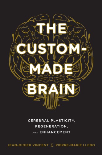 The custom-made brain: cerebral plasticity, regeneration, and enhancement