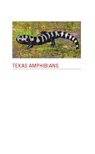 Texas Amphibians: A Field Guide