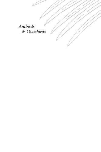 Antbirds and Ovenbirds: Their Lives and Homes