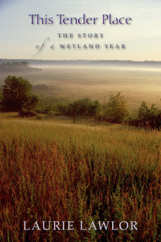 This Tender Place : The Story of a Wetland Year