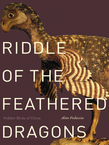 Riddle of the feathered dragons: hidden birds of China