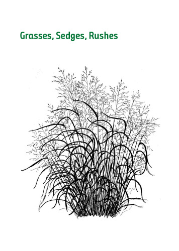 Grasses, Sedges, Rushes: An Identification Guide