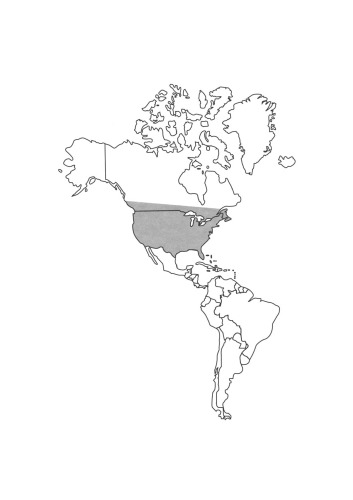Encyclopedia of Prehistory: Volume 6: North America