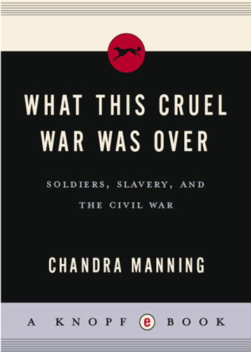 What this cruel war was over: soldiers, slavery, and the Civil War