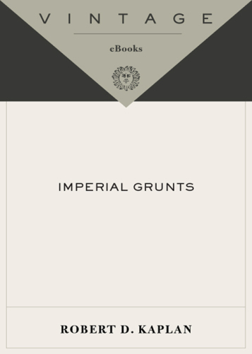 Imperial grunts: the American military on the ground