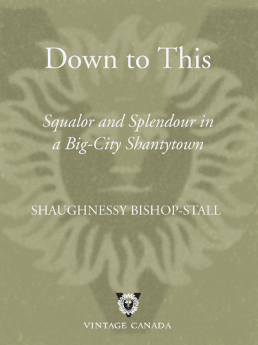 Down to this: squalor and splendour in a big-city shantytown