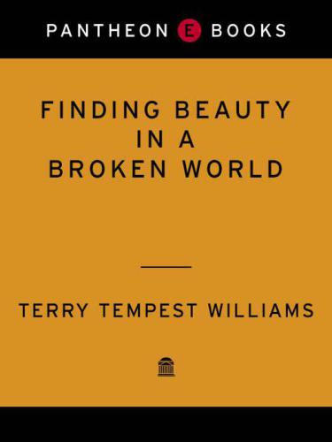 Finding Beauty in a Broken World