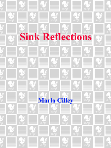 Sink Reflections