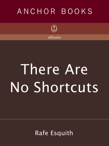 There Are No Shortcuts