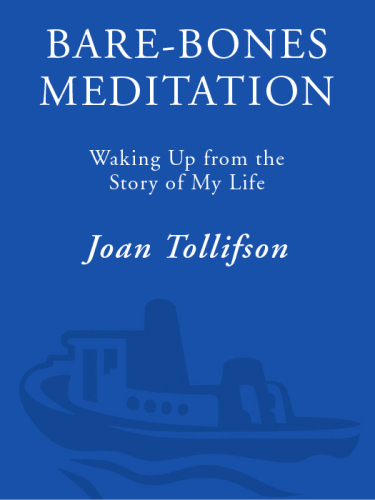 Bare-Bones Meditation: Waking Up from the Story of My Life
