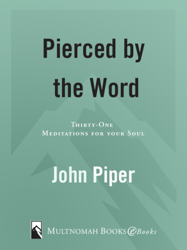 Pierced by the Word: Thirty-One Meditations for Your Soul