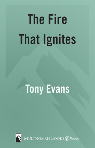 The Fire That Ignites