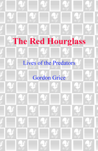 The red hourglass: lives of the predators