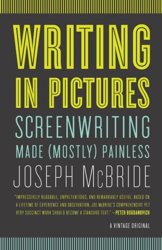 Writing in Pictures (Vintage Original)