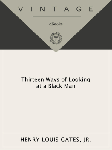 Thirteen Ways of Looking at a Black Man