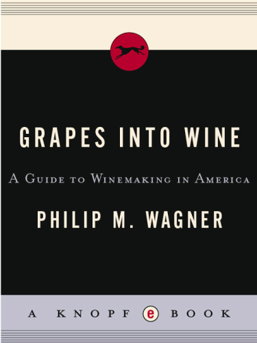 Grapes into Wine