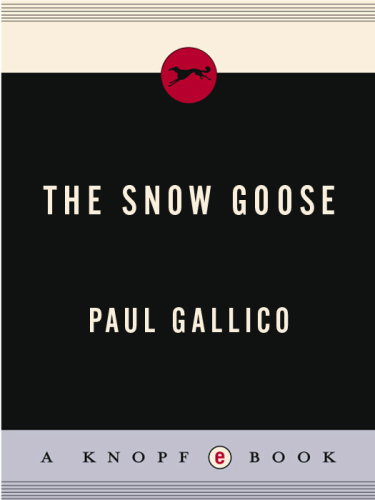 The snow goose