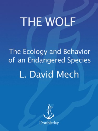 The wolf: the ecology and behavior of an endangered species