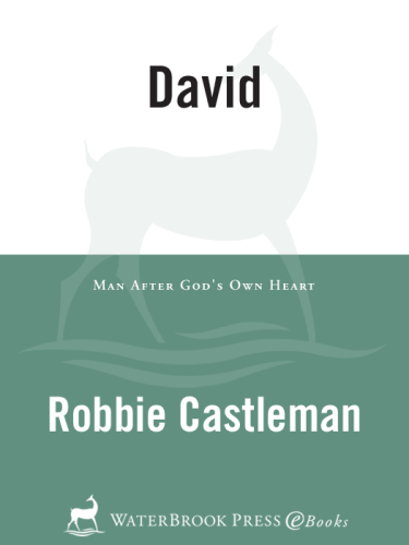 David: Man after God's Own Heart