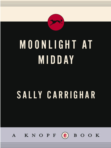 Moonlight At Midday