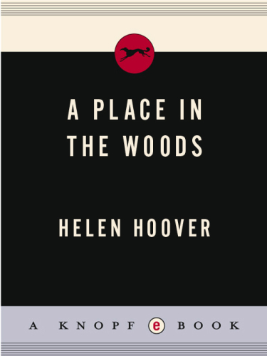 A Place in the Woods