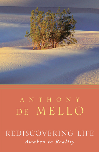 Rediscovering Life: Awaken to Reality